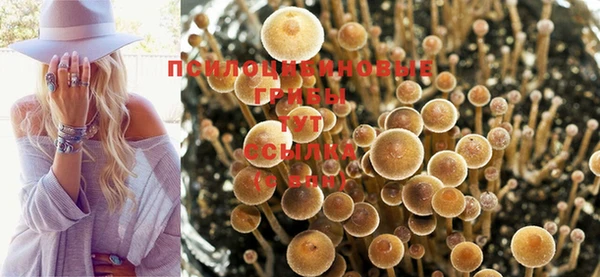 бутик Зерноград